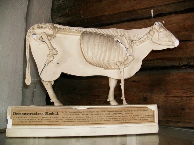 Siikasalmi-museo